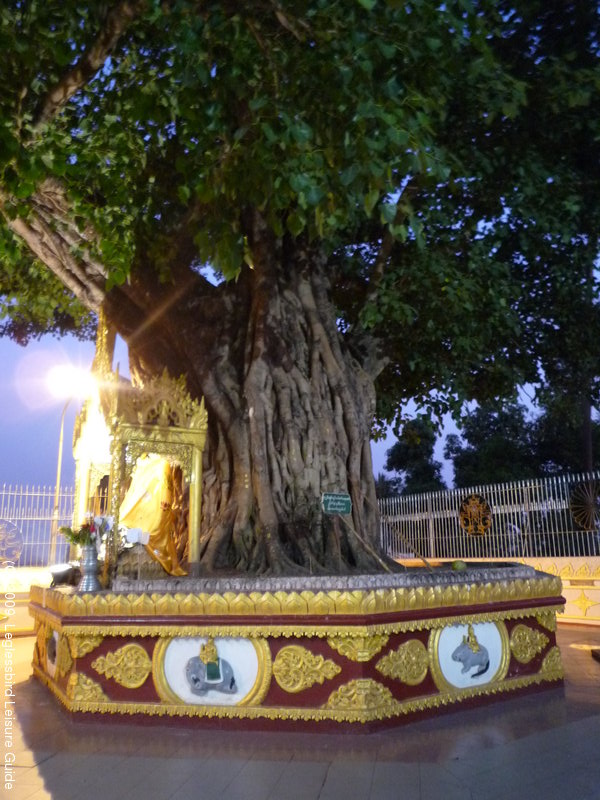 Shwedagon Pagoda13